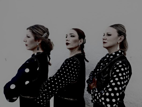 clases de flamenco en la zubia, Granada